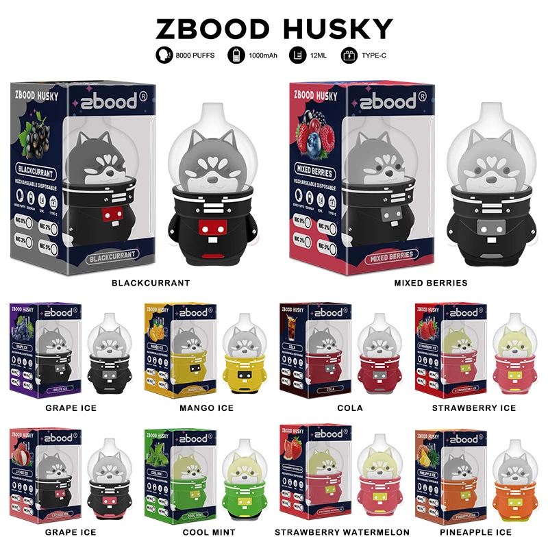 Electronic Cigarette Factory Wholesale Direct Wholesale Zbood Husky 8000puffs Wholesale Disposable Vape Pod